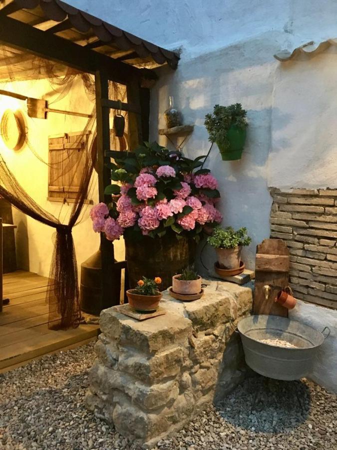 La Mimosa Villa Carcastillo Bagian luar foto