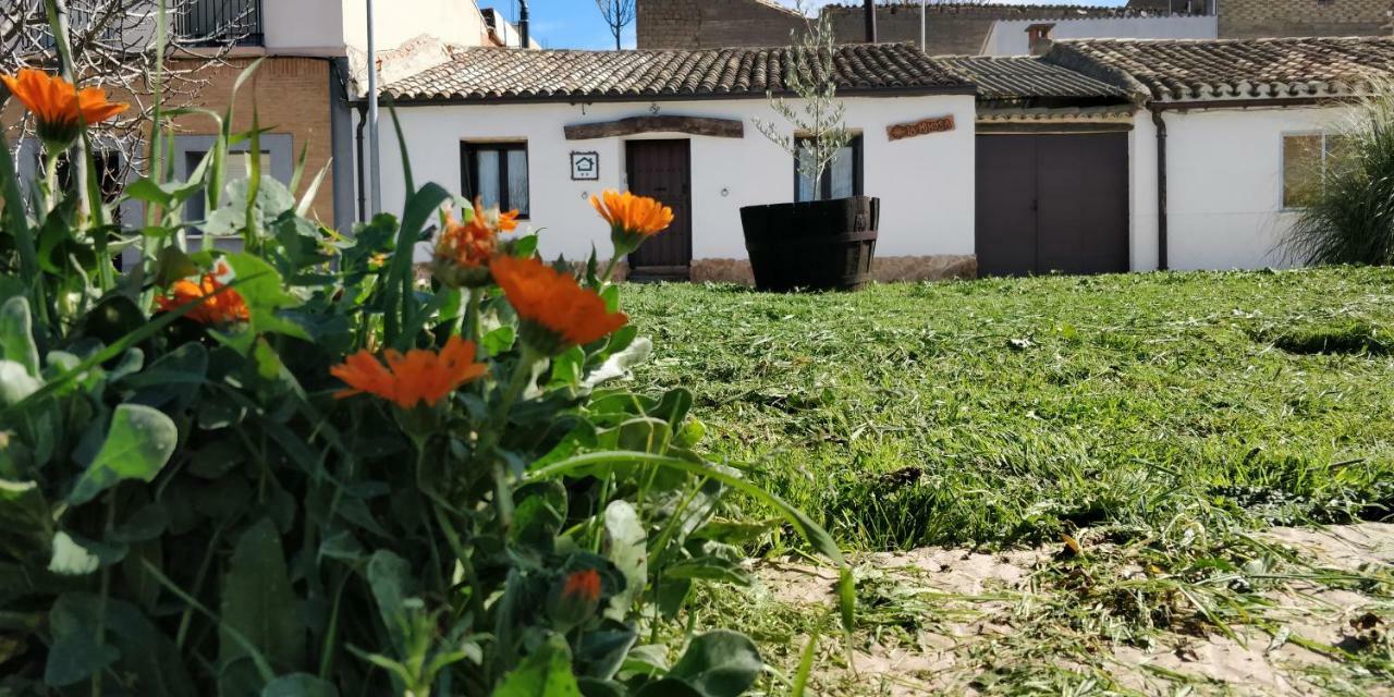La Mimosa Villa Carcastillo Bagian luar foto